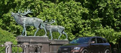 Senner Audi Q5 (2011) - picture 15 of 26