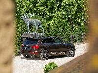 Senner Audi Q5 (2011) - picture 14 of 26