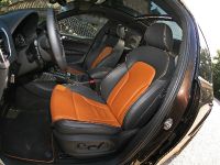 Senner Audi Q5 (2011) - picture 18 of 26