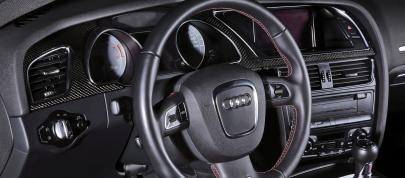 Senner Audi S5 Sportsback Grand Prix (2010) - picture 12 of 12