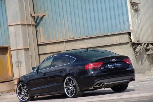 Senner Audi S5 Sportsback Grand Prix (2010) - picture 8 of 12