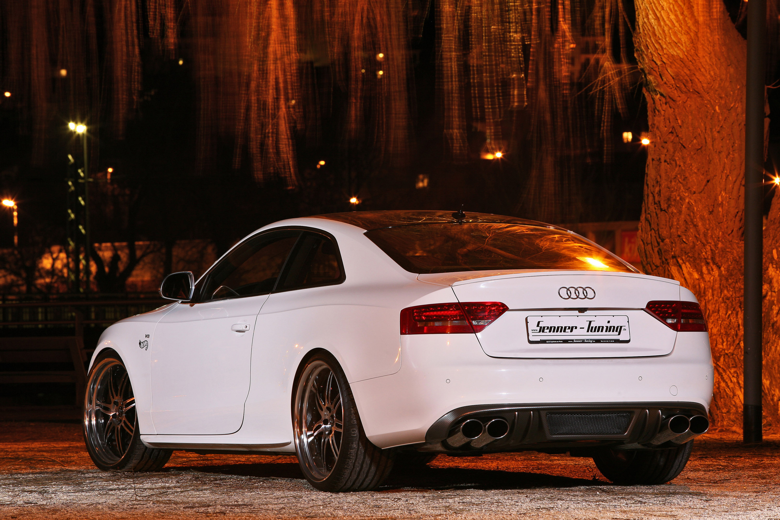 Senner Audi S5 White beast