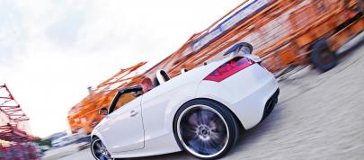 Senner POWER TT (2010) - picture 23 of 23