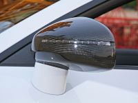 Senner POWER TT (2010) - picture 10 of 23