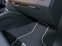 Senner POWER TT (2010) - picture 18 of 23