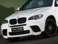 Senner Tuning  BMW X6 xDrive40d (2012)