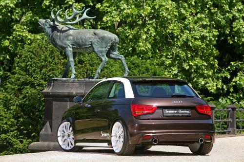 SENNER Tuning Audi A1 (2011) - picture 8 of 16
