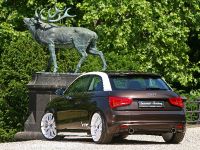 SENNER Tuning Audi A1 (2011) - picture 8 of 16