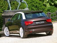 SENNER Tuning Audi A1 (2011)