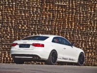 thumbnail image of Senner Tuning Audi A5 BLACK & WHITE