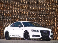 Senner Tuning Audi A5 (2009) - picture 1 of 4