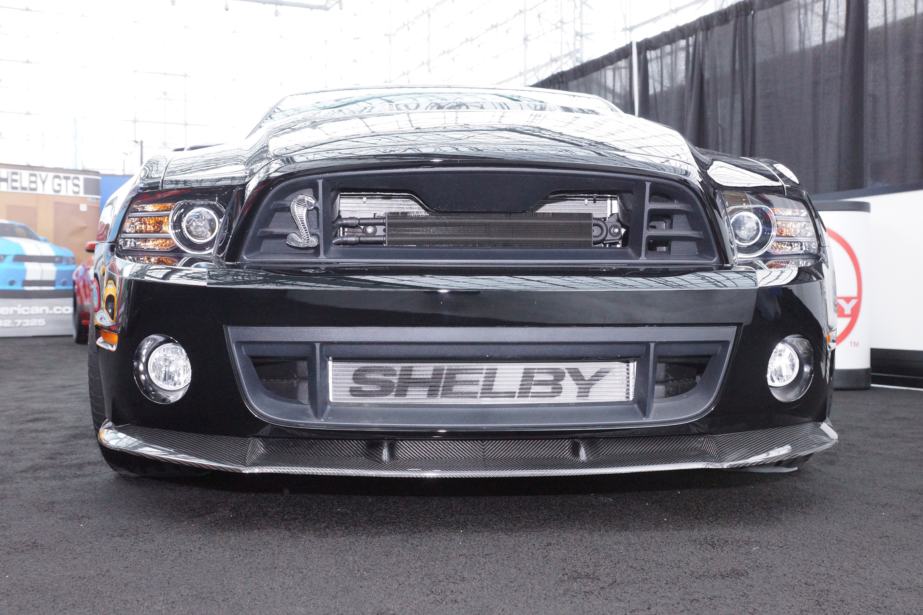 Shelby 1000 New York