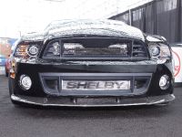 Shelby 1000 New York (2013)