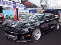 Shelby 1000 New York (2013) - picture 3 of 7
