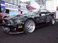 Shelby 1000 New York (2013)
