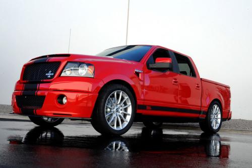 Shelby Ford F-150 Super Snake Concept (2009) - picture 1 of 9