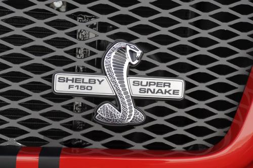 Shelby Ford F-150 Super Snake Concept (2009) - picture 8 of 9