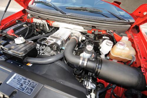 Shelby Ford F-150 Super Snake Concept (2009) - picture 9 of 9