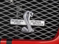 Shelby Ford F-150 Super Snake Concept (2009) - picture 6 of 9