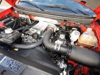 Shelby Ford F-150 Super Snake Concept (2009)