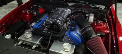 Shelby Ford GT500 Super Snake Widebody Detroit (2013) - picture 4 of 5