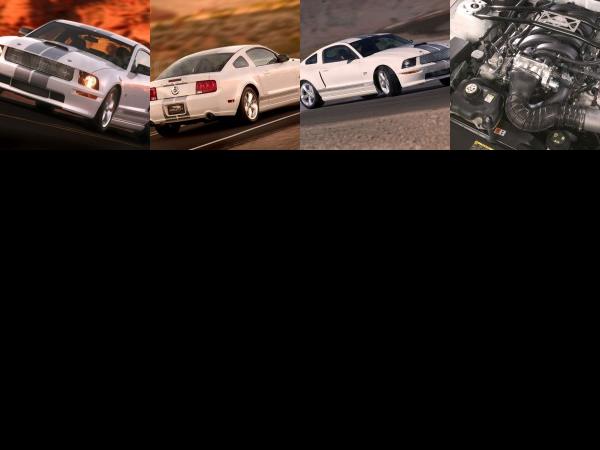 Ford Mustang Shelby GT (2007) - picture 1 of 4