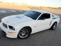 Ford Shelby GT (2008) - picture 5 of 8
