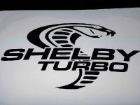 Ford Shelby GT (2008) - picture 7 of 8