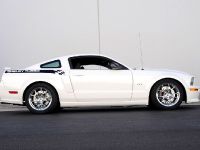 Ford Shelby GT (2008) - picture 2 of 8