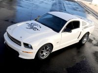 Ford Shelby GT (2008) - picture 1 of 8