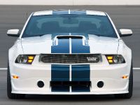 Ford Mustang Shelby GT350 (2010) - picture 2 of 11