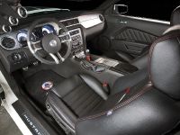 Ford Mustang Shelby GT350 (2010)