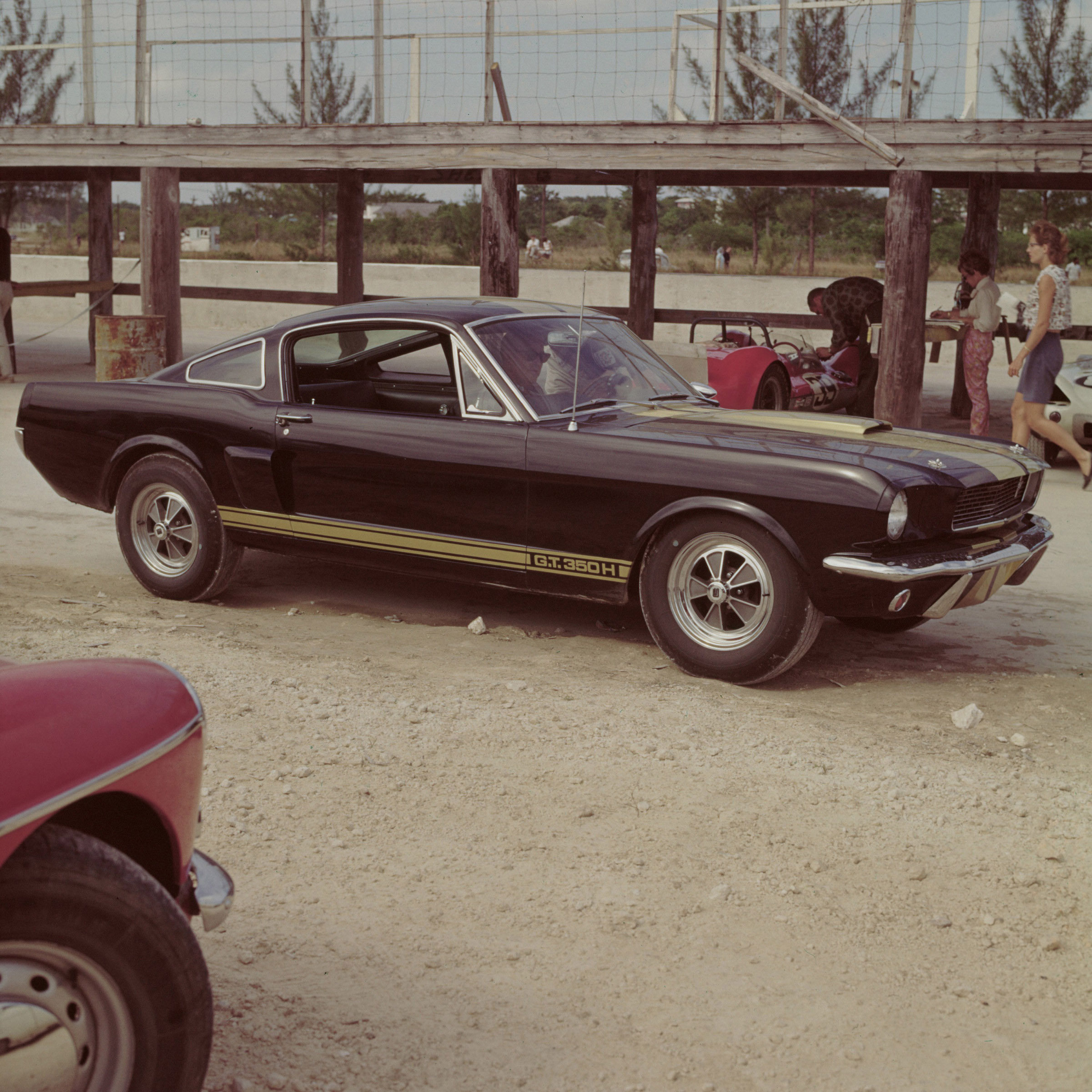 1966 Ford Shelby Mustang GT-350H