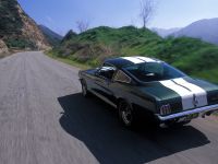 1966 Ford Mustang Shelby GT 350 (1996) - picture 5 of 5