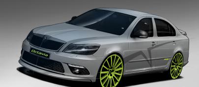 Skoda Auto at  Worthersee (2010) - picture 4 of 4