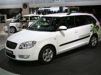 Skoda Fabia GreenLine Frankfurt (2011) - picture 2 of 2