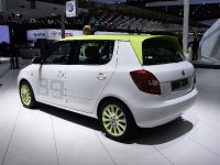 Skoda Fabia GreenLine Paris (2010) - picture 2 of 2