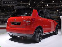 Skoda Fabia Monte Carlo Geneva (2011) - picture 2 of 2