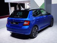 Skoda Fabia Paris (2014) - picture 5 of 6