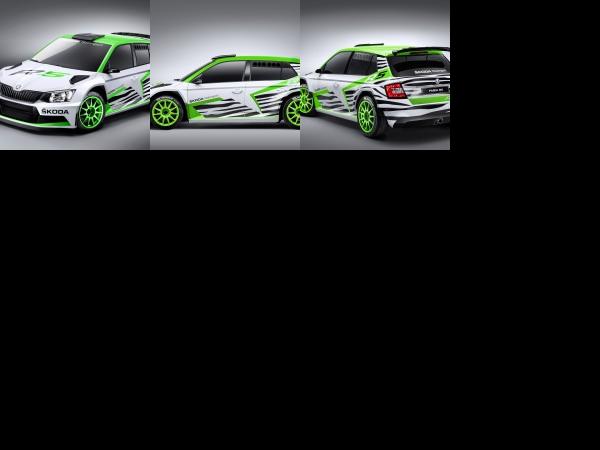 Skoda Fabia R 5 Concept (2015) - picture 1 of 3