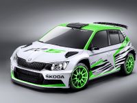 Skoda Fabia R 5 Concept (2015) - picture 1 of 3