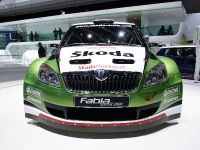 Skoda Fabia Super 2000 Geneva (2010) - picture 1 of 3