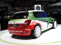 Skoda Fabia Super 2000 Geneva (2010) - picture 3 of 3