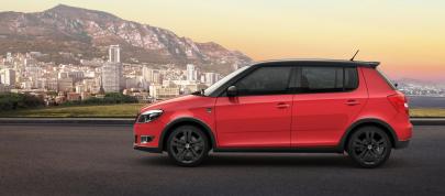 Skoda Monte Carlo Edition LineUp (2014) - picture 4 of 10