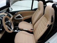 smart BRABUS tailor made (2009) - picture 10 of 10