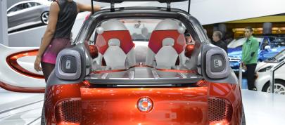 smart forstars concept Paris (2012) - picture 4 of 5