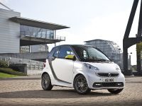 Smart Fortwo BoConcept Edition (2013) - picture 8 of 37