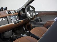 Smart Fortwo BoConcept Edition (2013) - picture 27 of 37