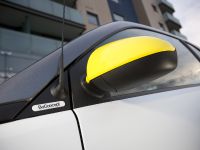 Smart Fortwo BoConcept Edition (2013) - picture 35 of 37