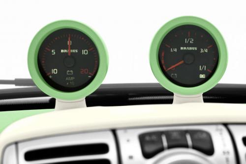 Smart fortwo BRABUS (2009) - picture 9 of 14
